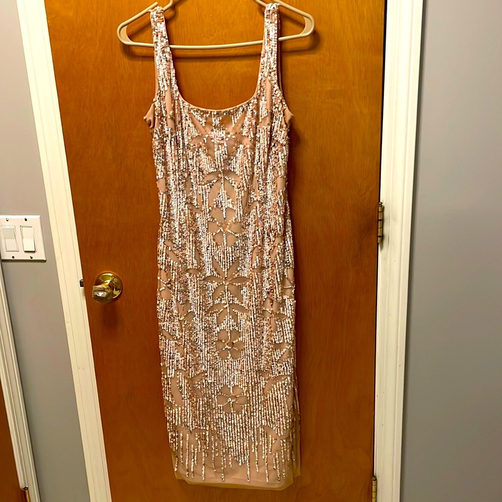 A bedazzled beauty from Adrianna Papell worn twice.